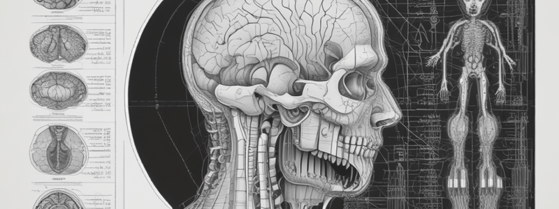 CNS Radiology: Investigation for Brain and Skull Disorders