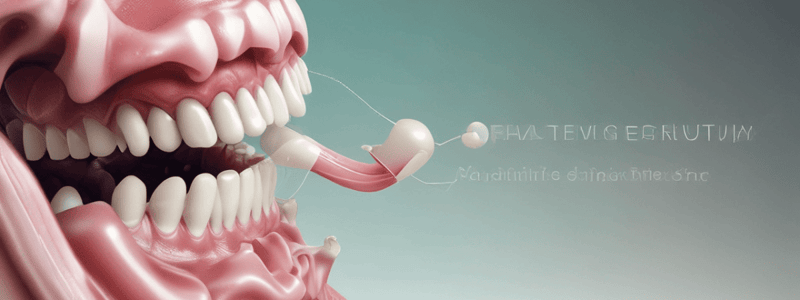 Dentistry: The Normal Periodontium and Gingiva