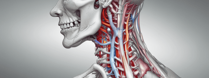 Cervical Facet Syndrome: Anatomy and Pathophysiology