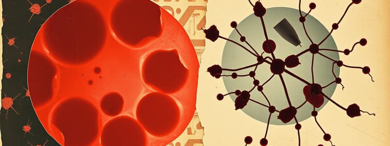 Composition of Blood Plasma Flashcards