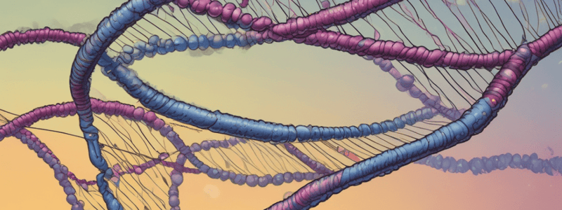 Genetics: Translocation Types and Chromosomal Abnormalities