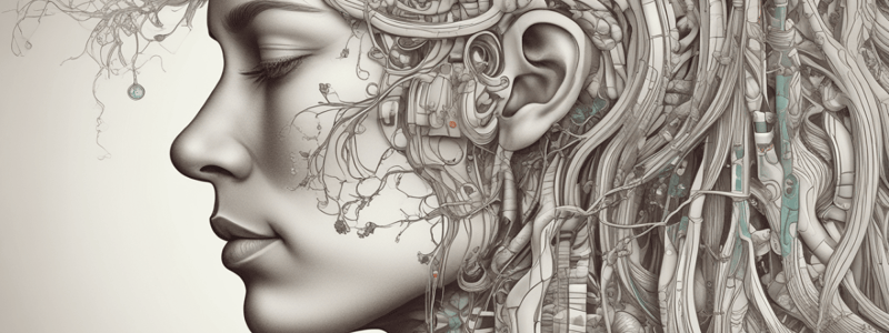 Anatomy of Nasal Cavities