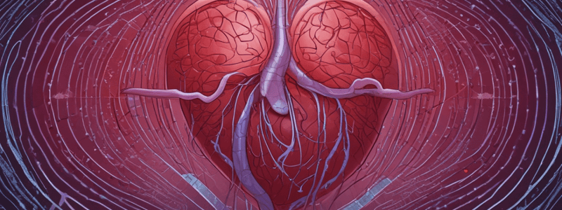 Cardiovascular Physiology: Cardiac Output and Stroke Volume