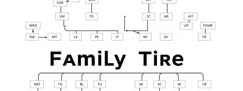 Family Relationships Quiz