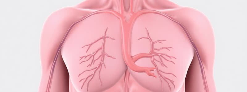 Circulation - Cardiac Conduction & ECG's, Lecture 4