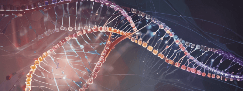 Genetic Code and Codon Properties