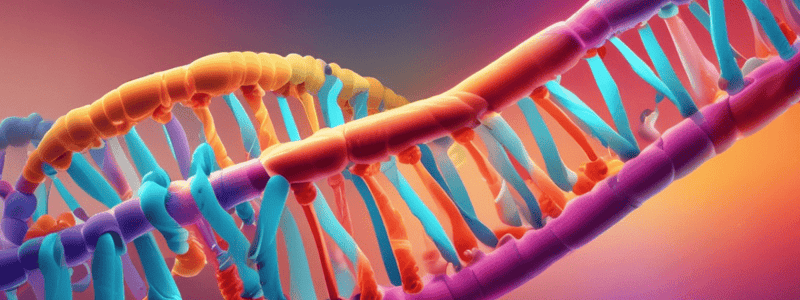 DNA and RNA Structure Quiz