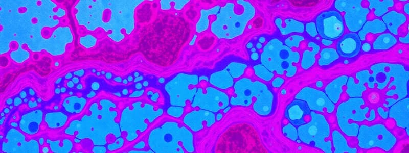 Glycogen and Mucins Staining Techniques