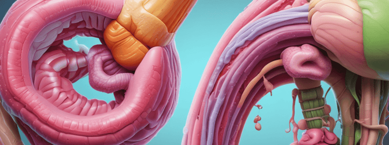 5)Salivary Secretion in Gastrointestinal Physiology