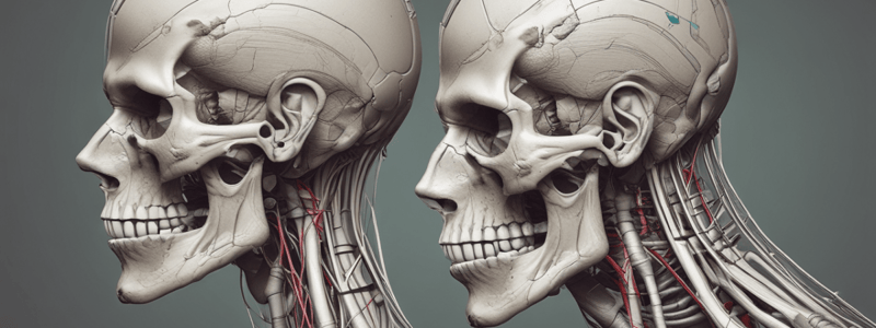 Anatomía I - Músculos del Cráneo