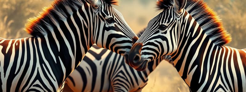 Zebras in Africa