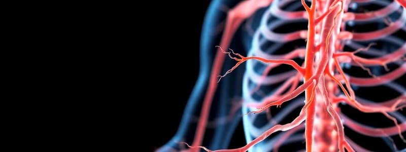 Somatic Nervous System and NMJ