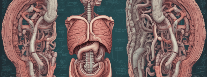 Digestive System Process