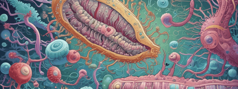 Pseudomonas aeruginosa : caractéristiques et diagnostic