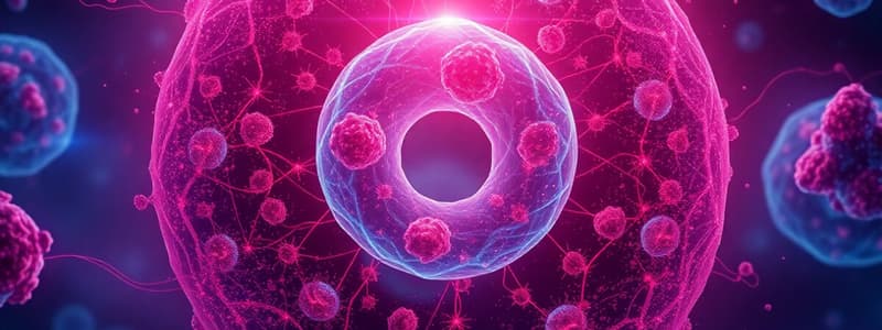 Cell Cycle Overview Quiz