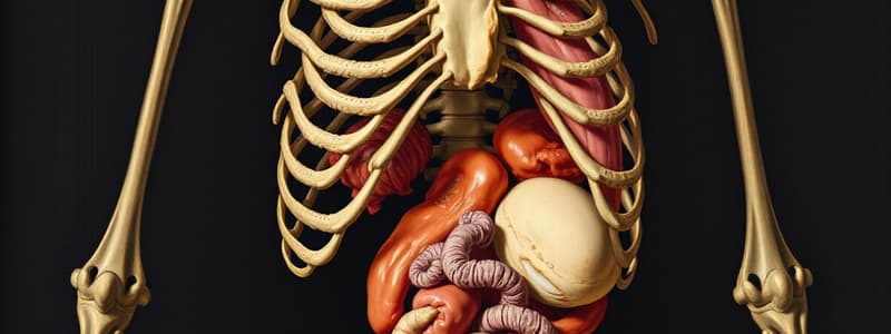 Biology Chapter 6 Organ Characteristics Quiz