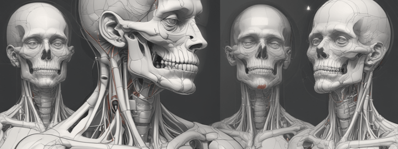 Basic Anatomy Introduction