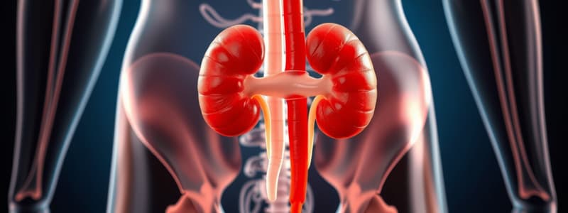 Fisiologia Humana: Sistema Renal