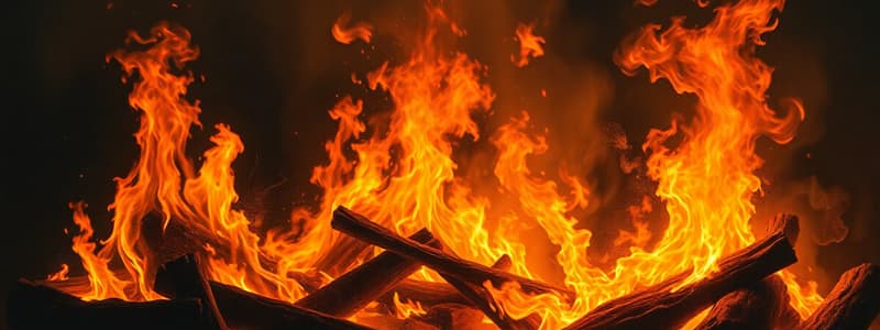 4 Phases of Fire Progression