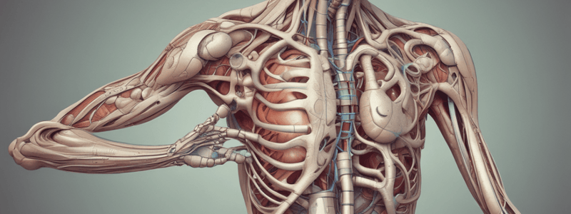 Gr 9 NATURAL SCIENCES: CH 1.2 The excretory system