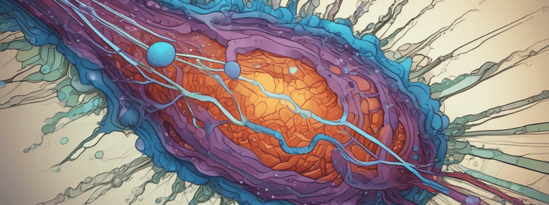 Cell Communication and Signaling