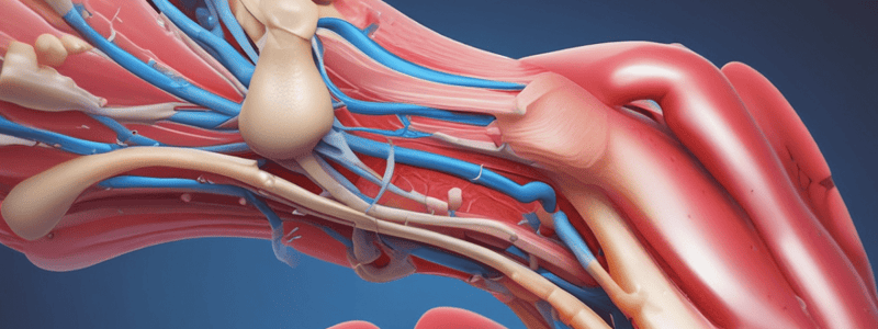 Surgical Treatment of Tenosynovitis