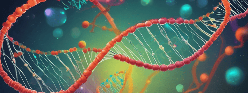 DNA Replication: Lead and Lag Strands