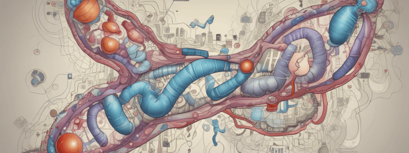 Biology: Insulin Structure and Deficiency