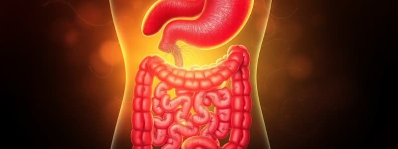 Week 1: Digestive System Overview