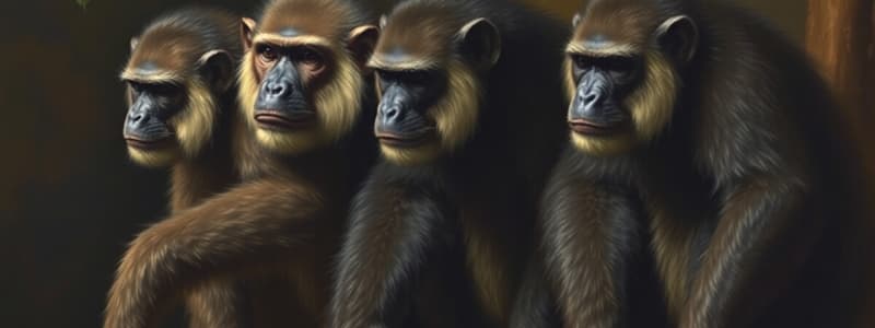 Primate Evolution and Traits Quiz