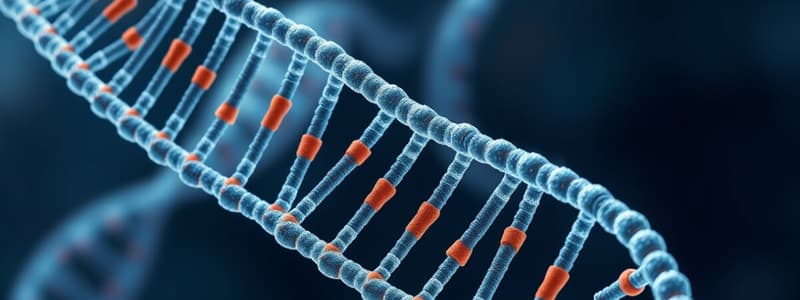 B-DNA Structure and Supercoiling Overview