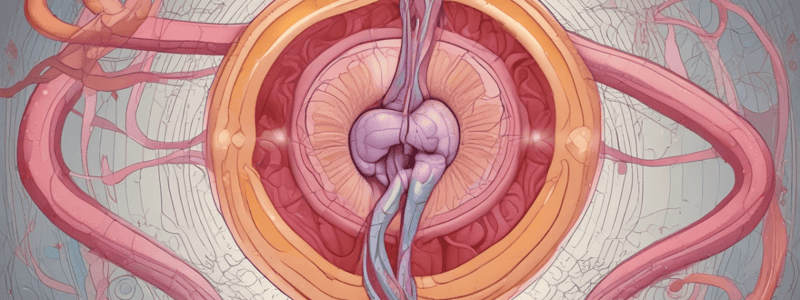 Introduction to the Reproductive System