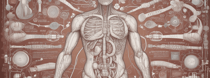 Endocrine System and Diabetes