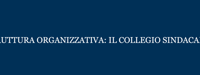 Il collegio sindacale