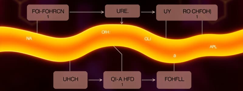 Biochemistry Urea Cycle Quiz