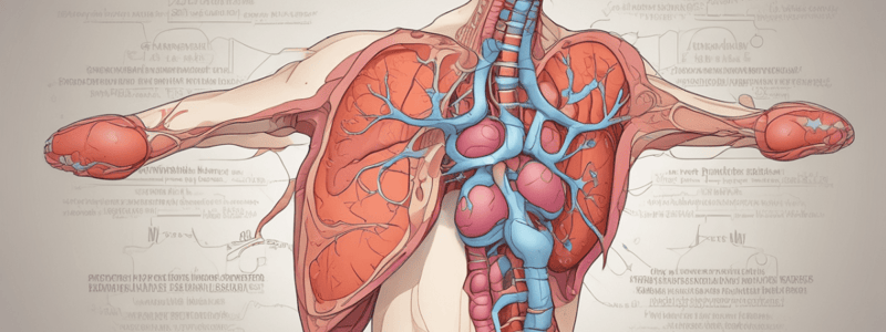 Physiology Chapter 24: Endocrine System and Pancreas