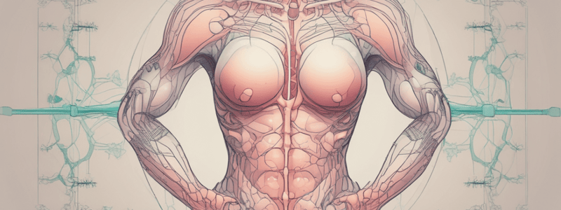 Breast Development and Hormones