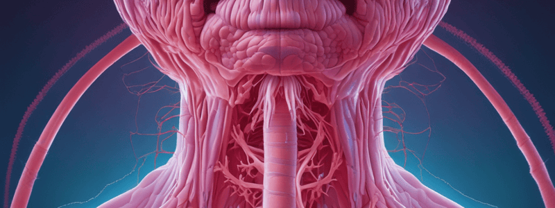 Respiratory Tract Infections Overview