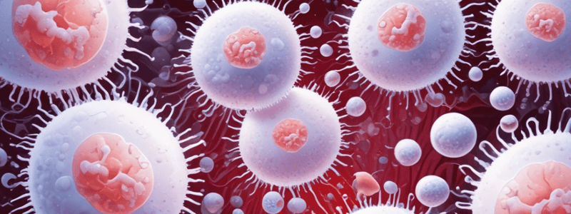 White Blood Cells (WBCs) Function and Types