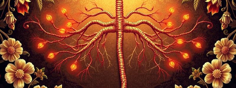 Pharmacology Quiz: Parasympathetic Nervous System