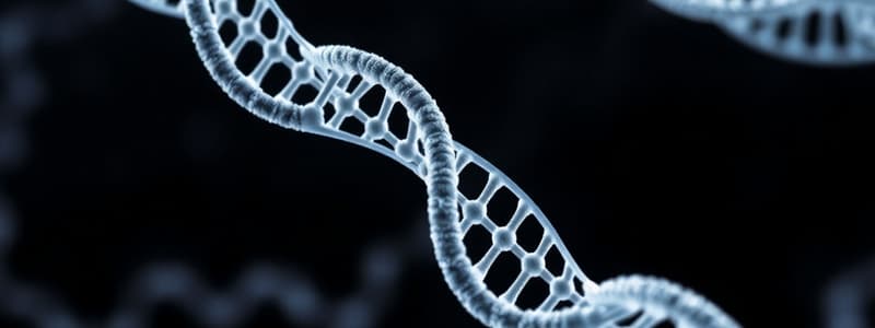 DNA Structure and Genomes Part I-A (Exam 1)