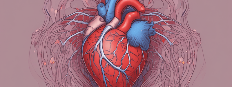 Cardiovascular System and Heart Function