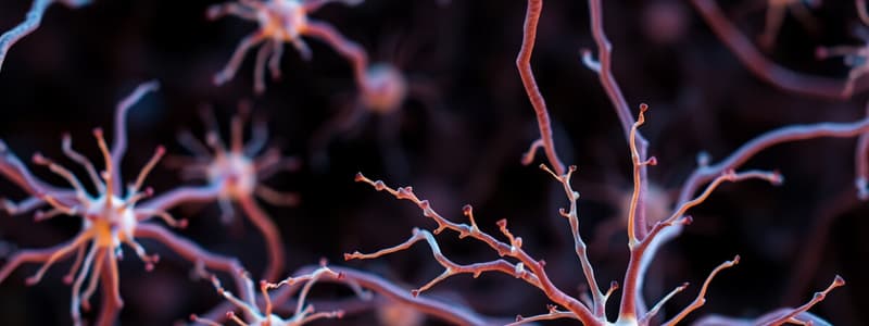 Nervous System: Neurons and Neural Communication