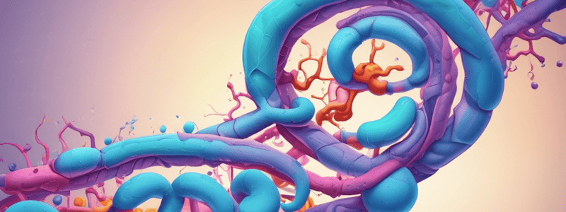 Chromatin Structure and Heterochromatin