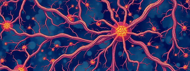 Sistema Nervioso: Neuronas y sus Tipos