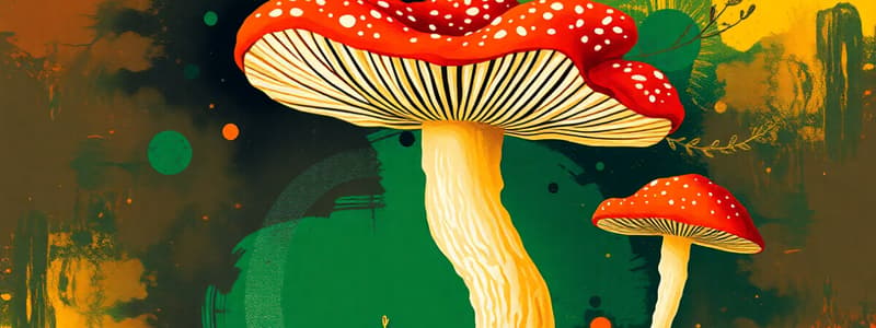 Fungi vs. Plants Quiz