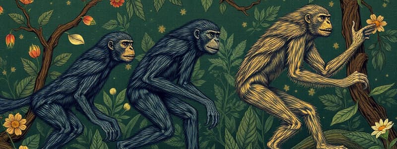 Human Evolution and Ancestors Quiz