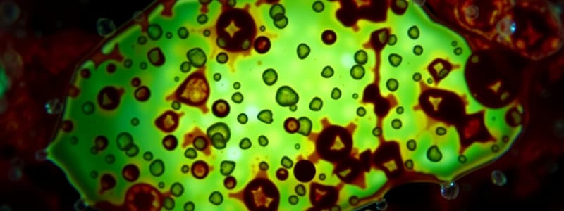 Biology Basics: Cells and Microscopes