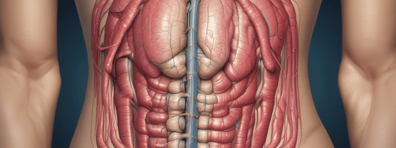 Abdominal Wall Masses and Hernias Quiz