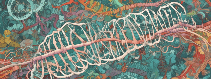 Transcription Initiation and RNA Polymerase